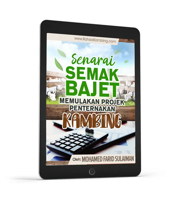 cara ternak kambing 4