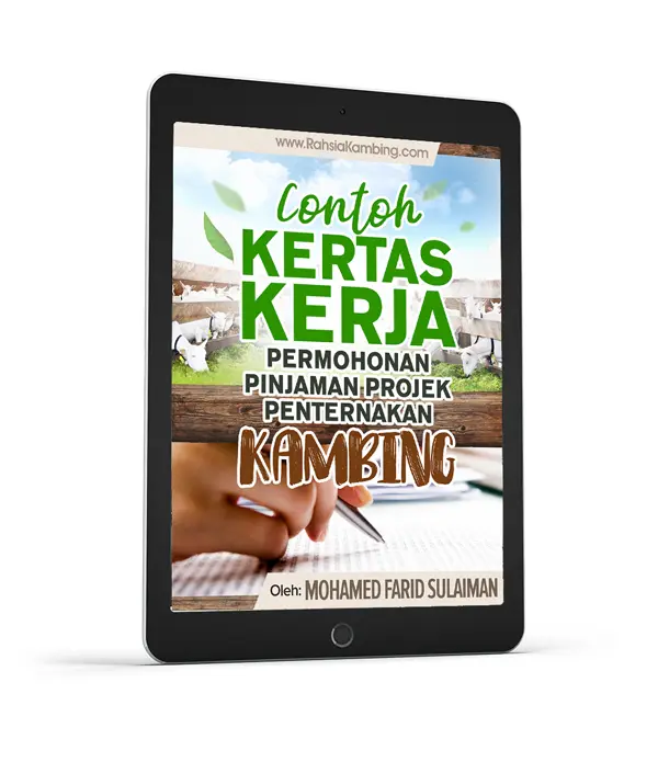 cara ternak kambing 5