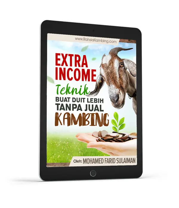 cara ternak kambing 6